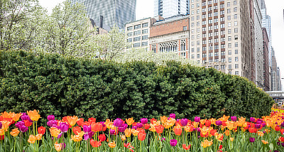 landscape contractor consulting